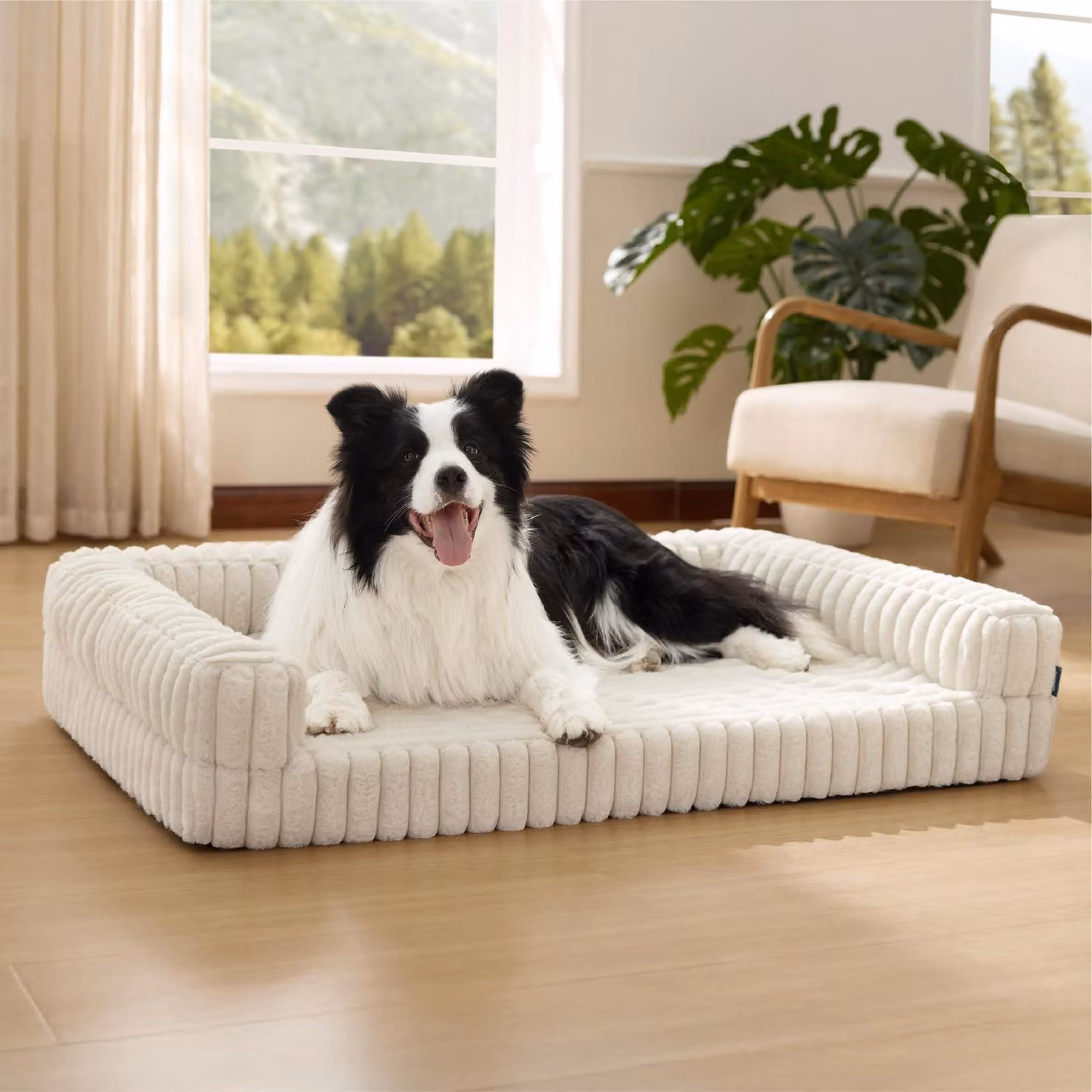 Cuccia ortopedica per cani di grossa taglia, dimensioni 89x64x18 cm, colore crema