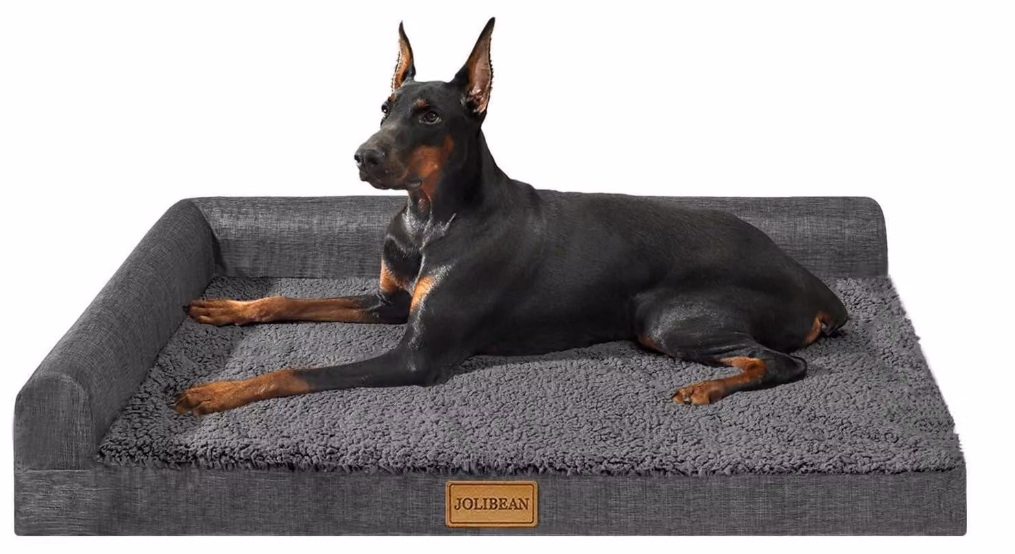 Cuccia ortopedica per cani, dimensioni L, 91x61 cm, colore grigio scuro