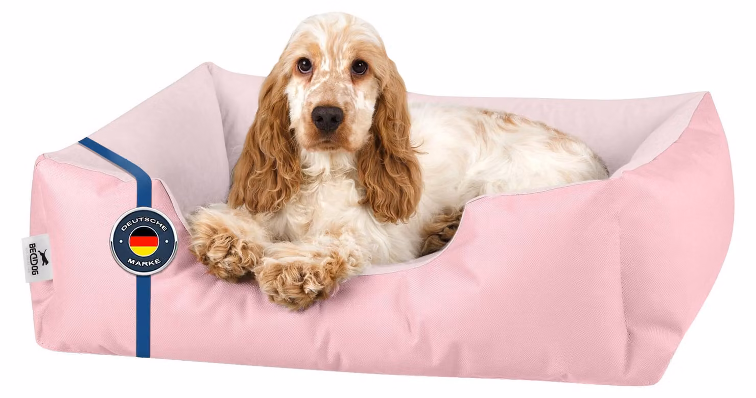 Letto per cani BedDog ZARA: cuscino per cani con rivestimento lavabile, cuccia per cani, divanetto per cani, PINK-YORK (rosa), (S) ca. 55x40x17 cm