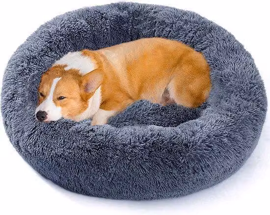 Grande cuccia per cani