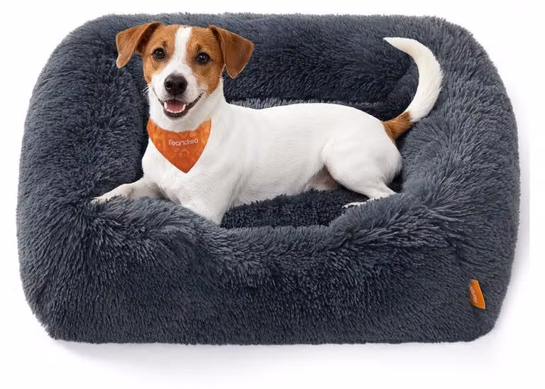 Cuccia per cani, 71x55x18 cm, con bordo rialzato e rivestimento removibile | Grigio scuro | 71x55x18 cm