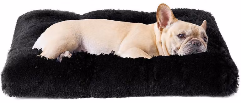 Cuccia per cani morbida e pelosa, lavabile, dimensioni 60x45 cm, colore nero