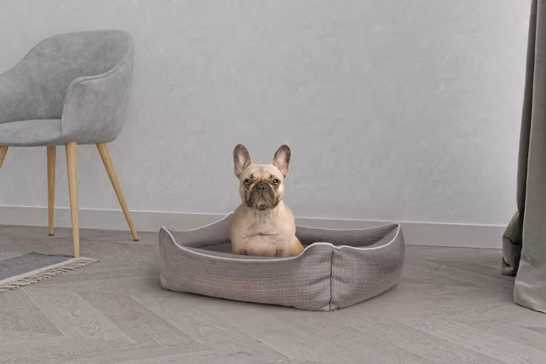 Lenzuolo per letto per cani e gatti, modello Dandy, colore marrone, dimensioni 62 x 50 x 17 cm