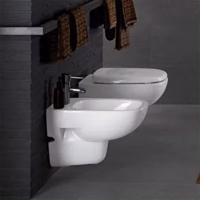 Sanitari sospesi Geberit in ceramica bianca con copriwc originale avvolgente Fantasia L/P/H: 51,5 x 36,0 x 33,5 cm