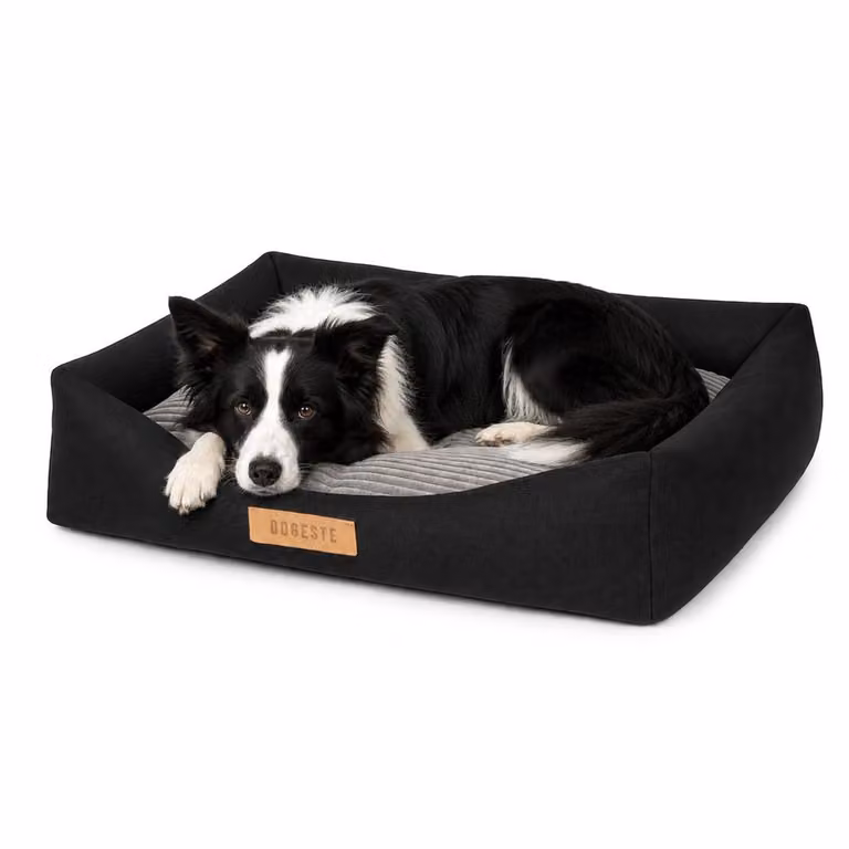 Letto ortopedico per cani XXL 100x82 cm, rivestimento sfoderabile e lavabile