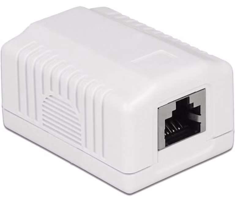 Delock 86196 DELOCK Anschlussdose 1Port Cat.6A LSA