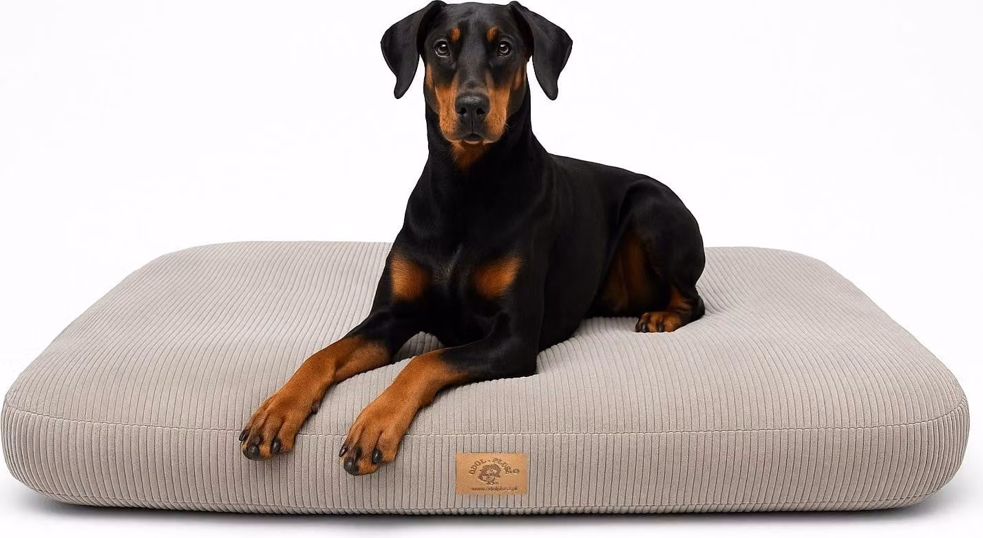 Letto ortopedico per cani Cuscino per cani Divano per gatti 130x75CM