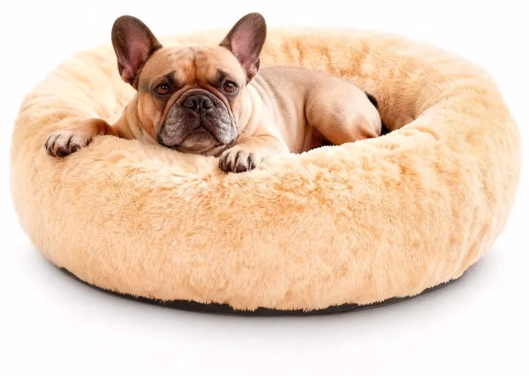 Cuccia per cani rotonda, in morbido pelo sintetico, lavabile, antiscivolo, forma a ciambella, taglia M, diametro 60 cm, color beige
