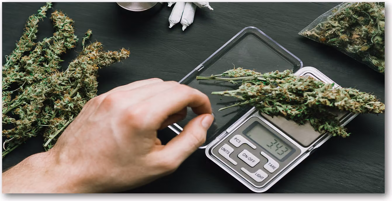 Pannello protettivo per cucina Tulup® in vetro temperato - 100x50 - Protezione anti-schizzi con decoro di fiori, piante e marijuana