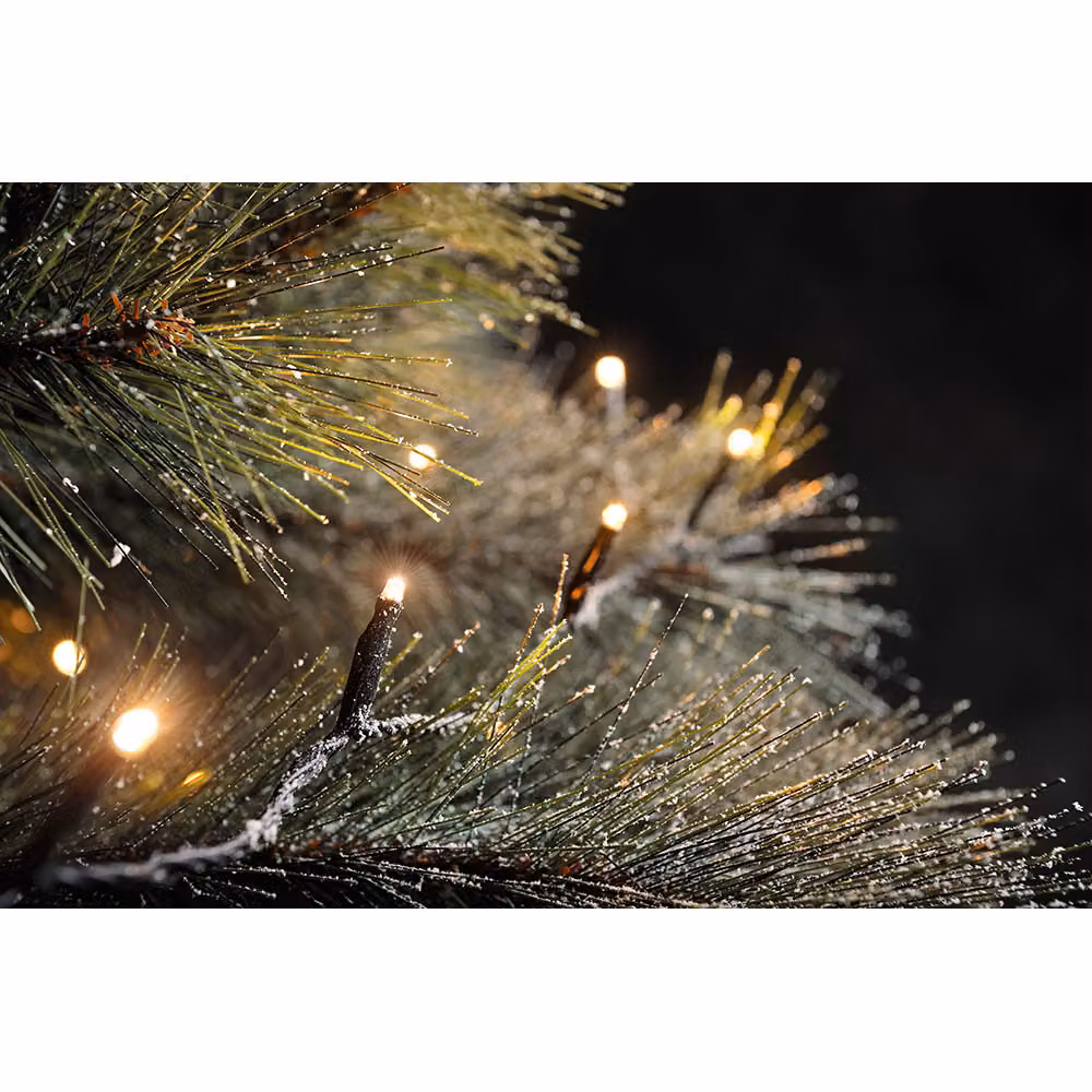 Sistema di micro LED per luci fiabesche 100 diodi Berstein IP44