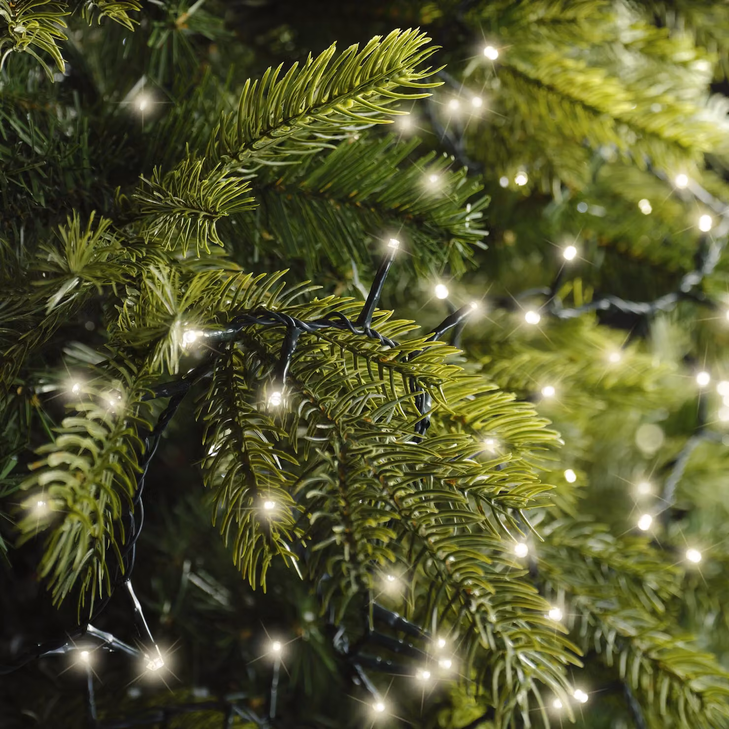 Illuminazione a LED per albero di Natale IP44 13,5 m