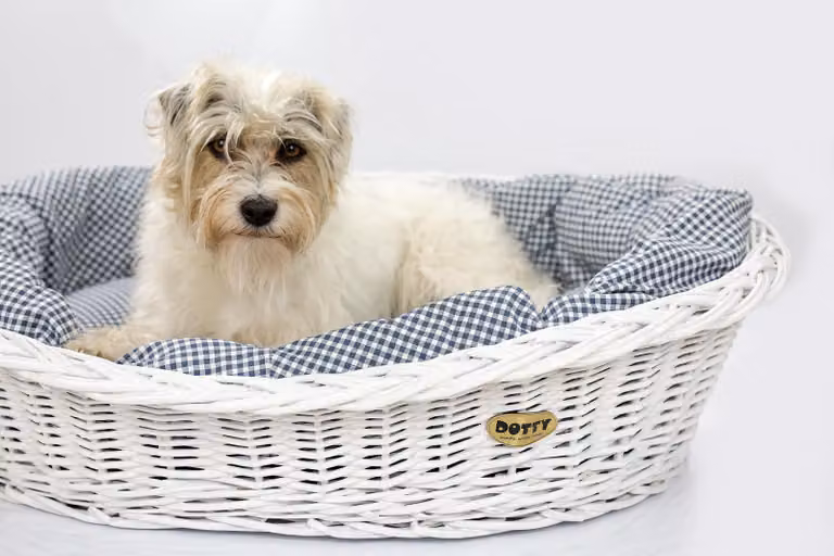 Cesto in vimini bianco sbiancato per cani Cesto Wiki con lettino in cotone per cani - Blu navy a quadri - DOTTY