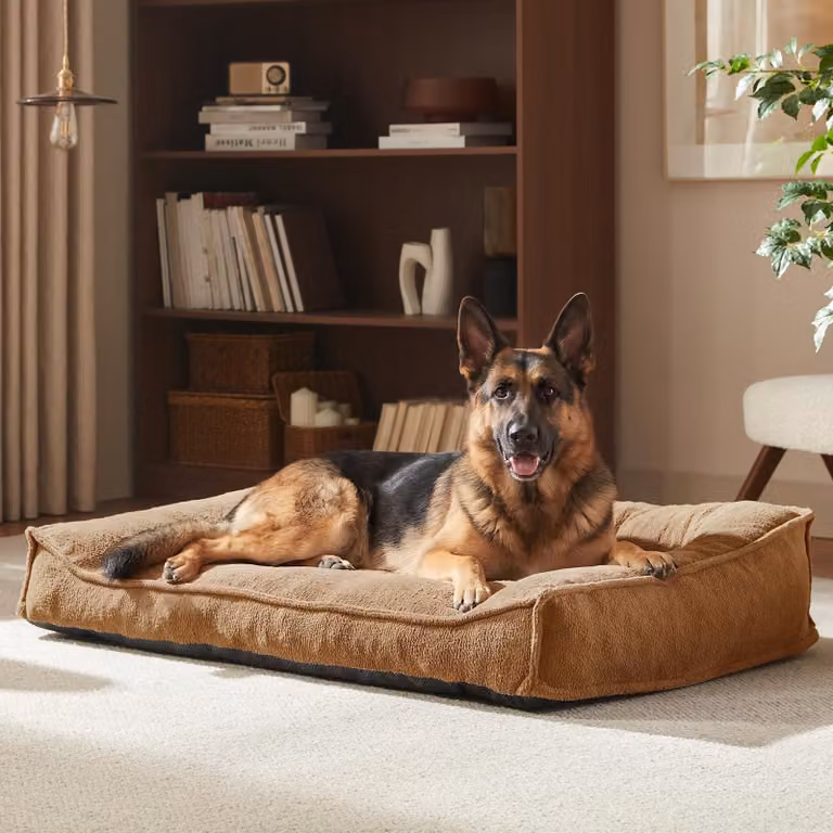 Cuccia per cani XXL - 122 x 91 x 26 cm - Fodera lavabile rimovibile - Letto per cani cuscino - Per cani di grossa taglia