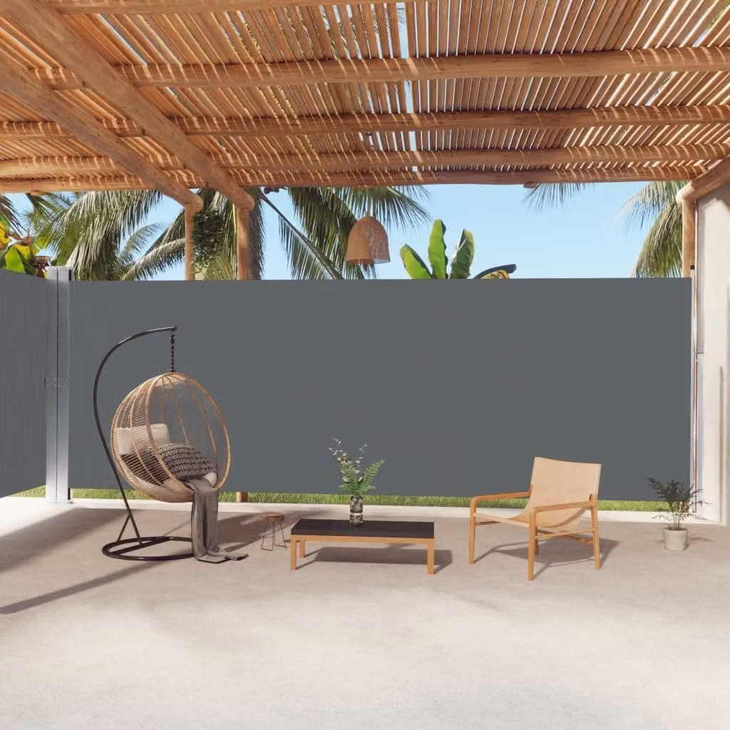 The Living Store Tenda laterale estensibile antracite 220x1000 cm