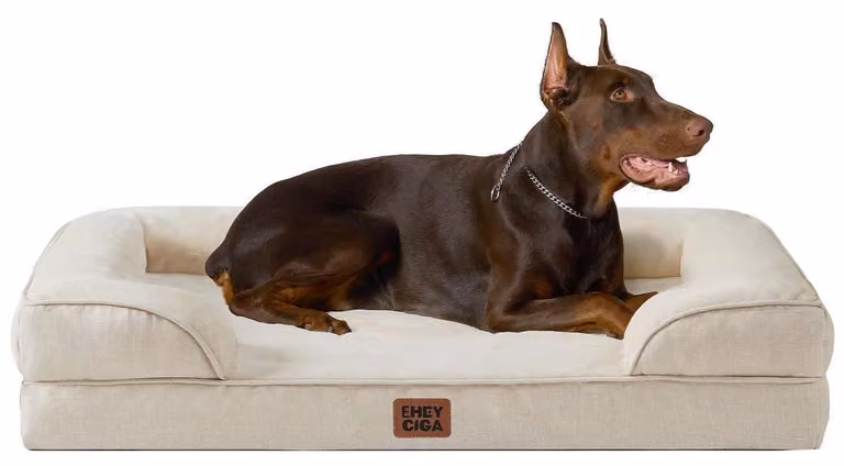 Cuccia ortopedica per cani di grandi dimensioni, 122x89 cm, color beige, con supporti per il collo e rivestimento impermeabile