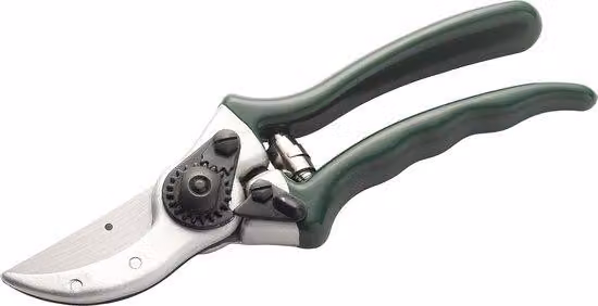 Forbici con bypass per taglio, in materiale resistente, collezione Kew Gardens