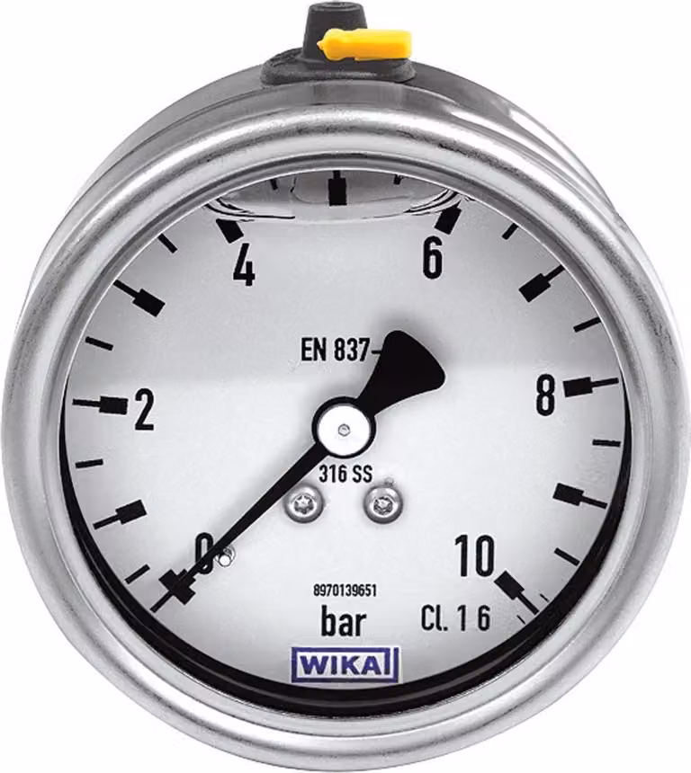 Mano di glicerina Riegler, acciaio inox, G 1/4 posteriore centrica, -1/0,0 bar, Ã˜63