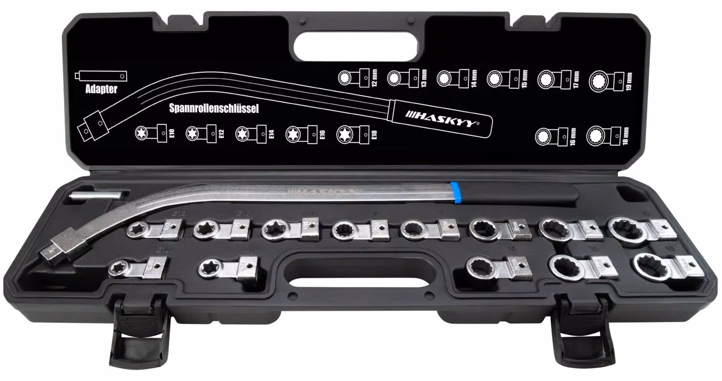 Set di 15 chiavi a bussola, con profilo Torx ed E