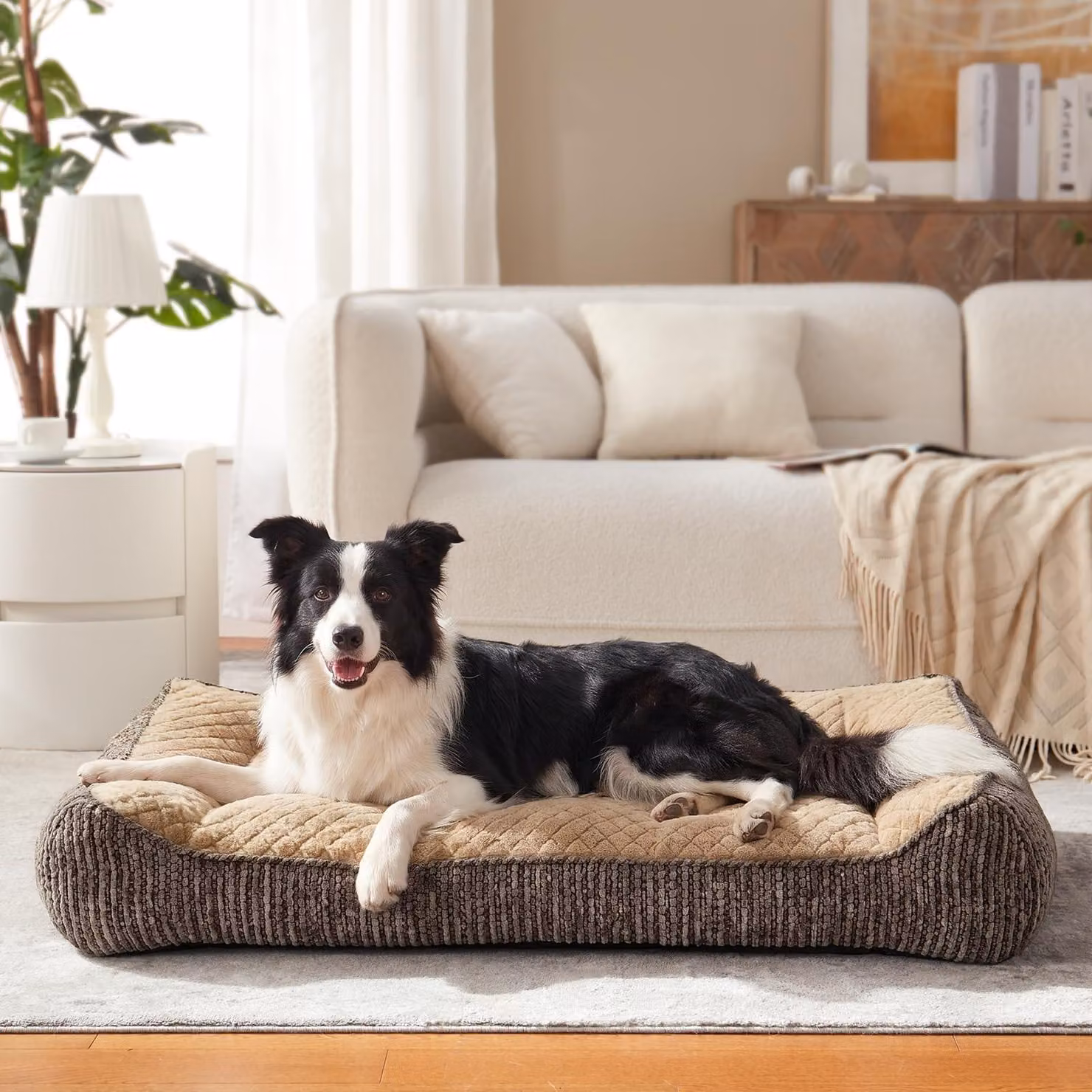 Cuccia ortopedica per cani - 89 x 64 x 20 cm - Fodera rimovibile - Cuscino per cani ortopedico cuccia per cani materasso - Per cani di grossa taglia