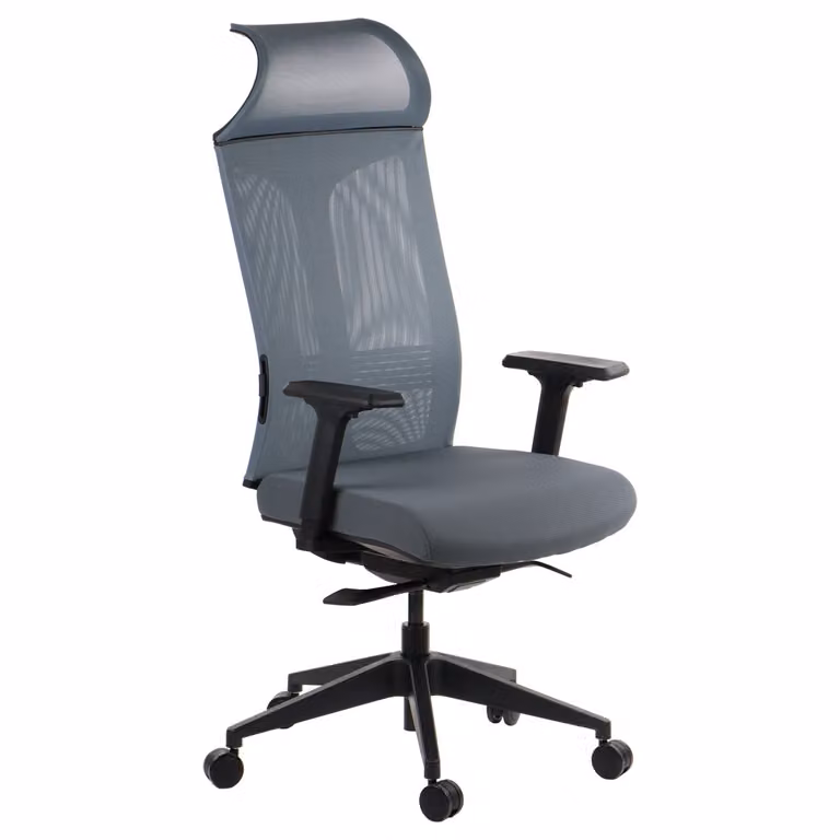Sedia da ufficio ergonomica girevole RYDER, braccioli regolabili, poggiatesta, seduta scorrevole (avanti-indietro), grigio