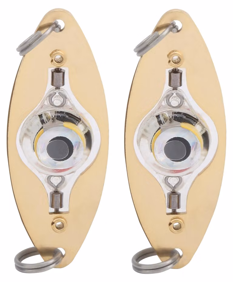 2 pezzi pesca LED esca luce forma occhio colorato lampeggiante esca lampada subacquea
