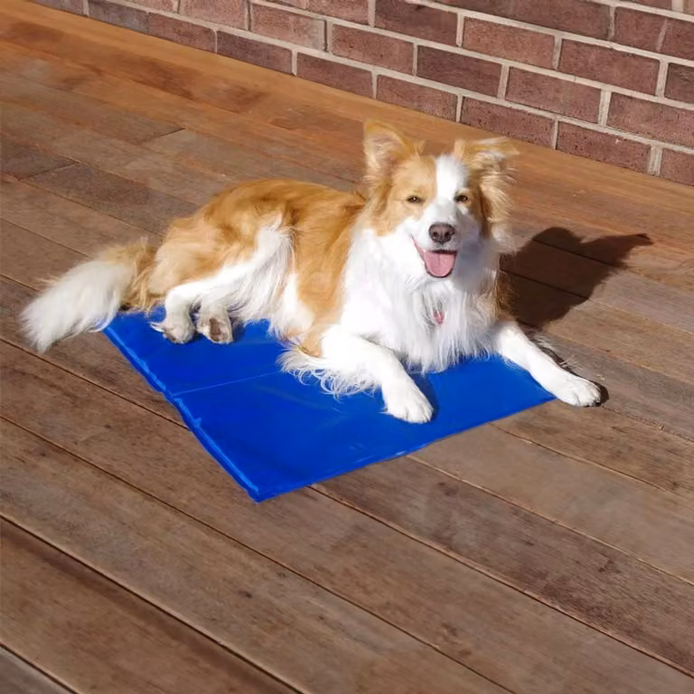 Tappetino Rinfrescante Per Cani E Gatti 50X40 Cm Blu Raffreddamento Intenso