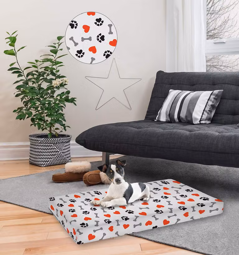 Cuccia per cani, 60x50 cm, per uso interno