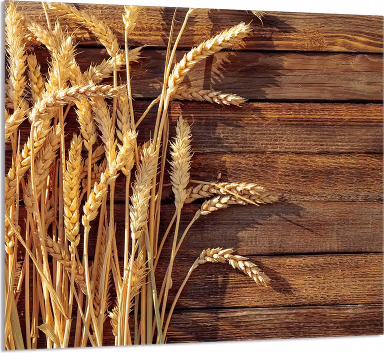 PIATTO IN VETRO PER CUCINA 65x60 Grano