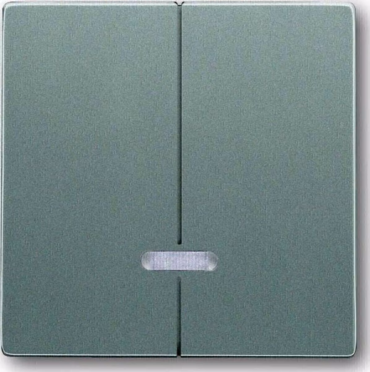 Busch-Jaeger 6545-803 Pulsante di comando, con spia luminosa grigio metallizzato