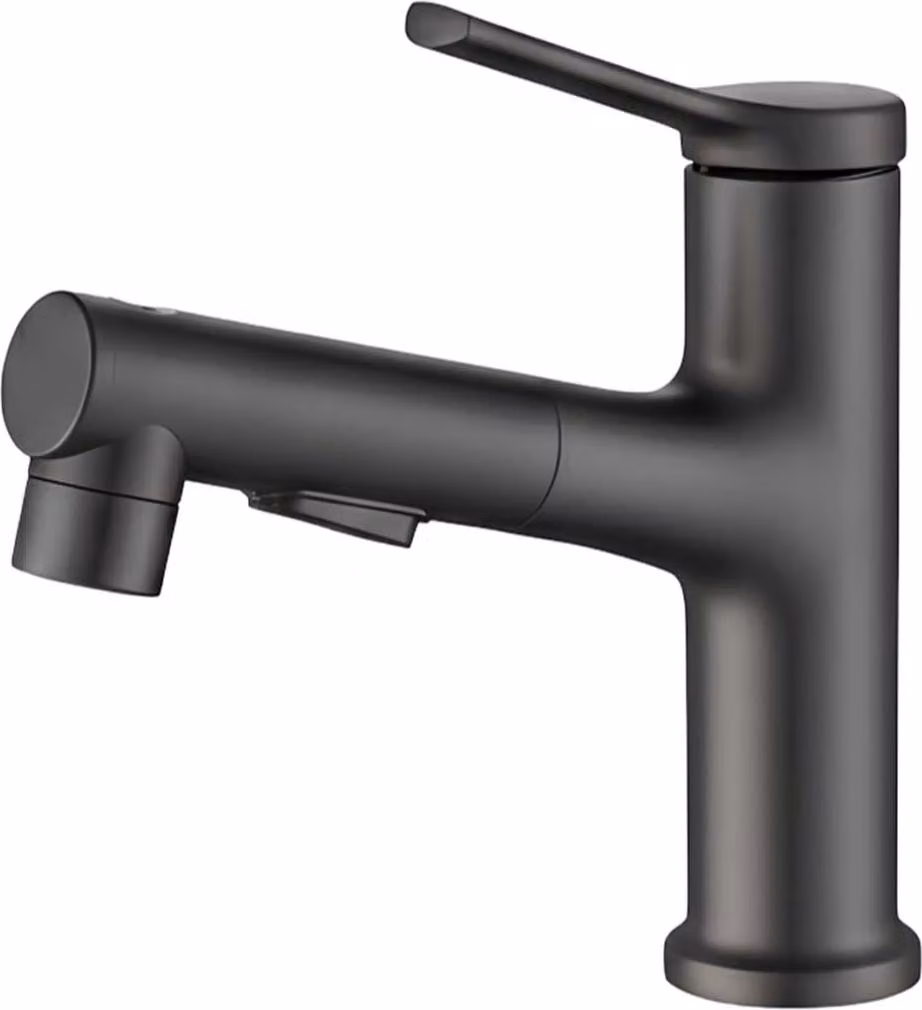 Avizar, rubinetto estraibile per lavabo con funzione di risciacquo bocca integrata, nero