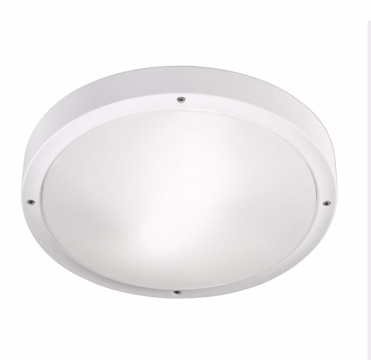 LEDS C4, plafoniera a LED – 24 W, luce calda, 2606 lumen, grado di protezione IP66, colore grigio