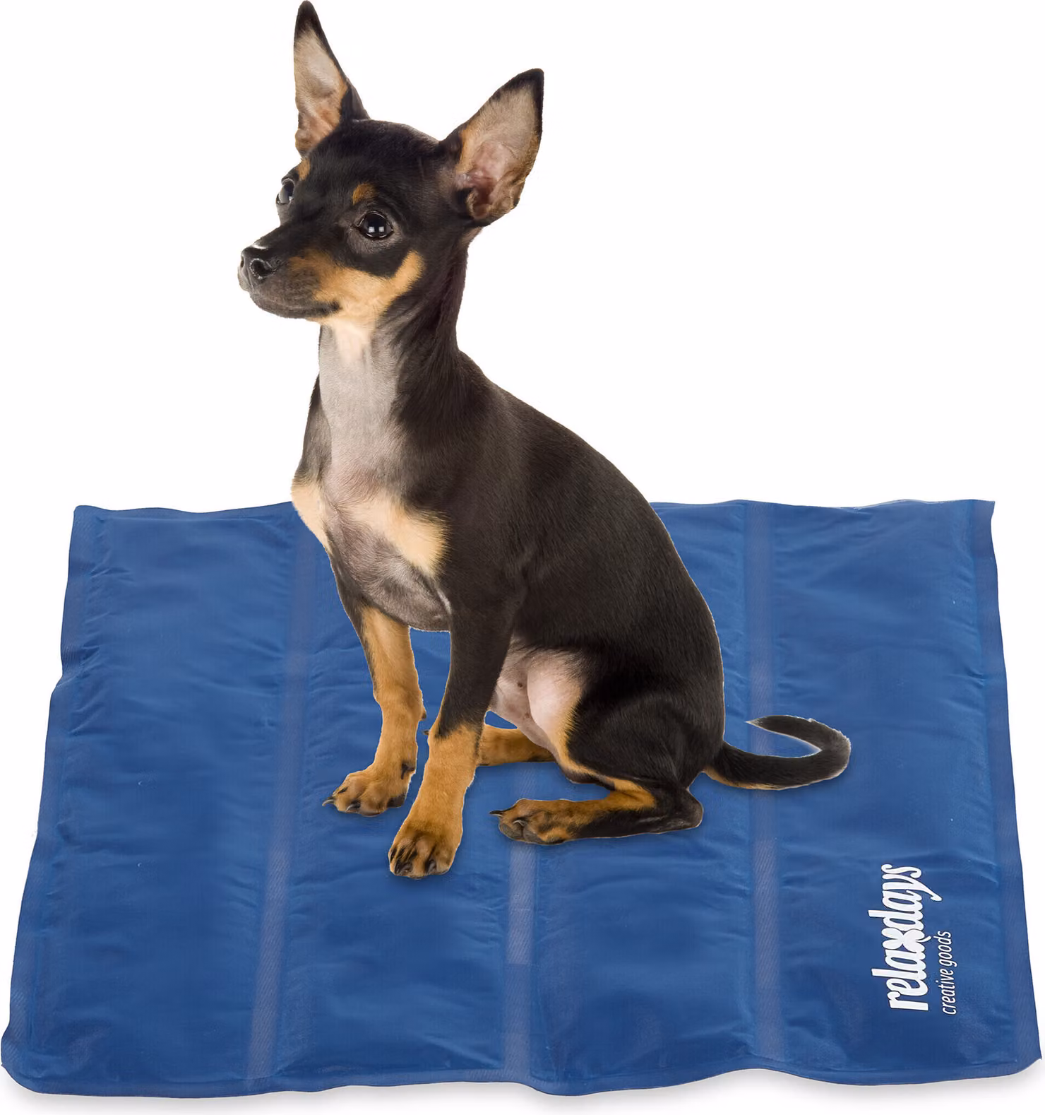 relaxdays Tappeto refrigerante blu scuro per cani