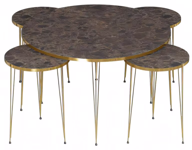 Eleganter Holz-Couchtisch mit 4 Beistelltischen in Braun