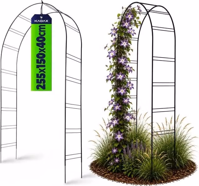 Arco floreale KADAX in metallo nero per piante rampicanti e rose, H: 255 cm, L: 150 cm, P: 40 cm