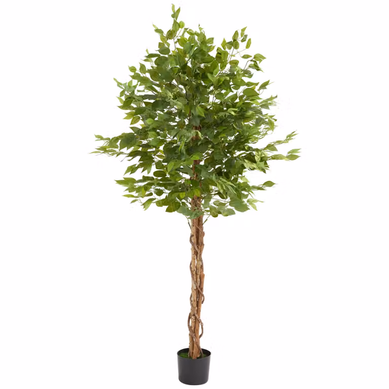 Albero di Ficus artificiale Tectake verde, altezza: 180 cm