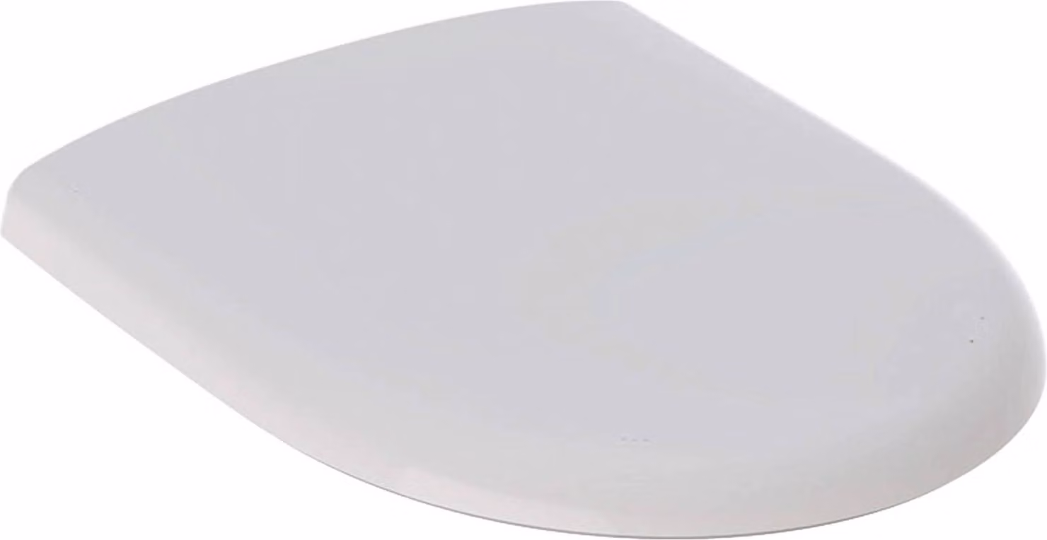 Geberit WC-Sitz Renova mit Deckel Scharniere Edelstahl weiß