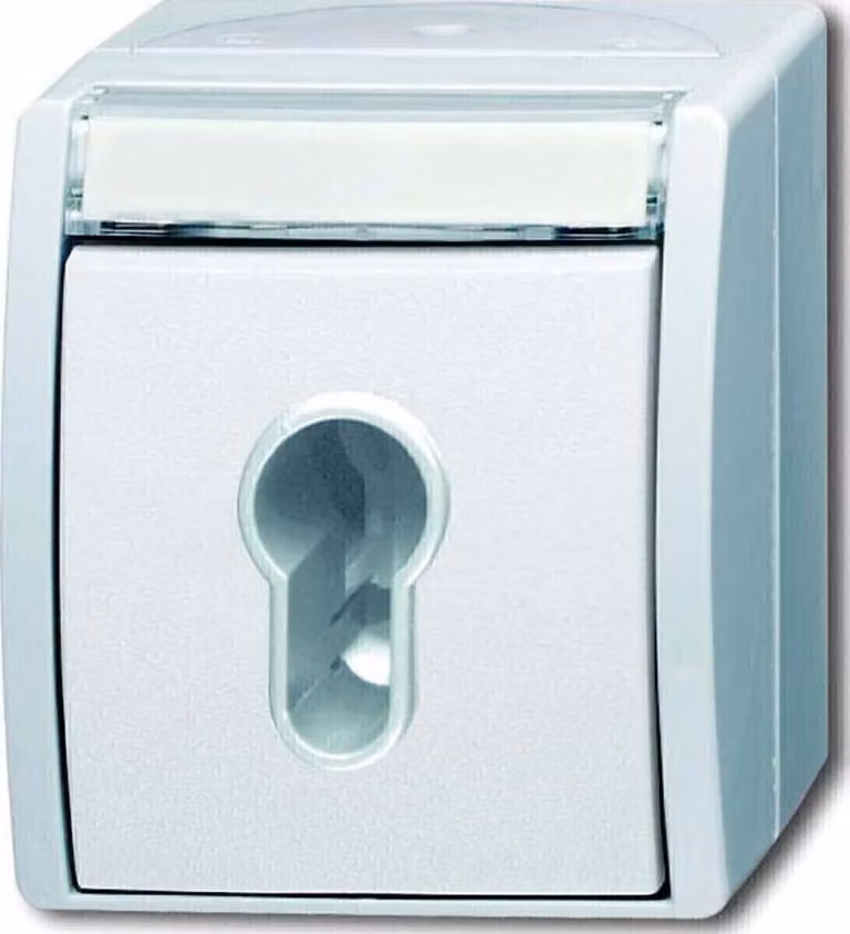 Interruttore a chiave Busch-Jaeger 2733 SLW-54