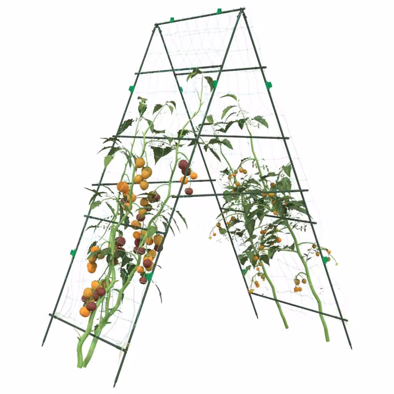 Set di 3 tralicci da giardino vidaXL per piante rampicanti in acciaio, colore nero o verde