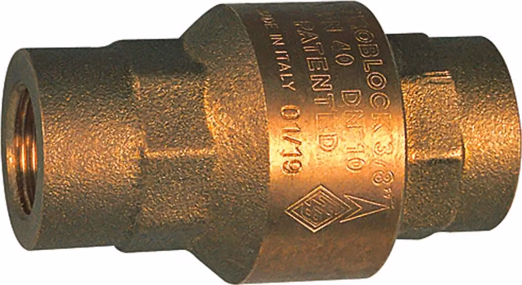 Valvola di non ritorno Riegler, foro pieno, ottone, Rp 1 1/4, 20-50 mbar