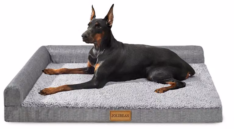 Cuccia ortopedica per cani, grigia, dimensioni L (106x71 cm), con bordi in schiuma