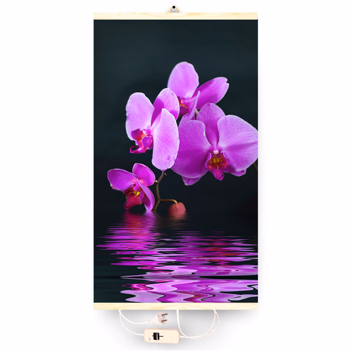 Riscaldamento a infrarossi termostato immagine riscaldatore pannello di riscaldamento a infrarossi radiatore 430W riscaldatore elettrico con orchidea motivo