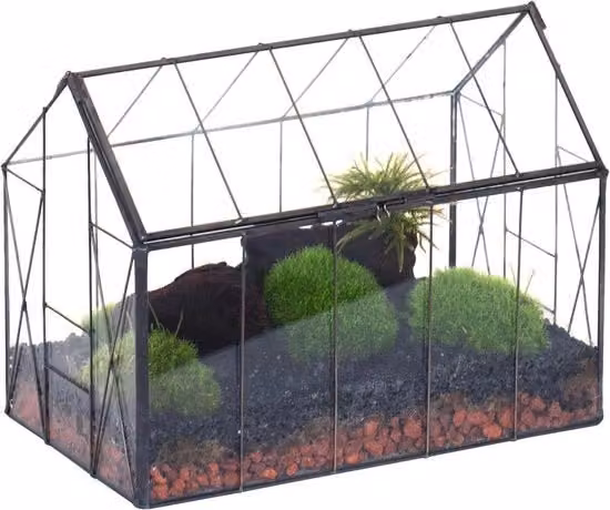Terrario in vetro con coperchio - per piante grasso e cactus - 1 pezzo - nero - 23,9 cm x 14 cm x 18,5 cm