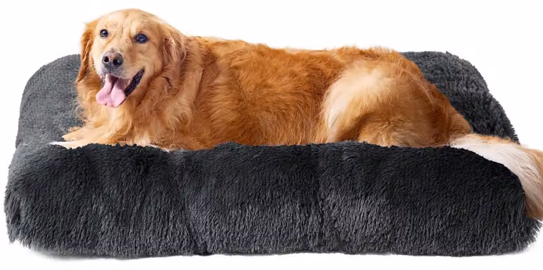 Cuccia extra grande per cani, in peluche, lavabile e antiscivolo