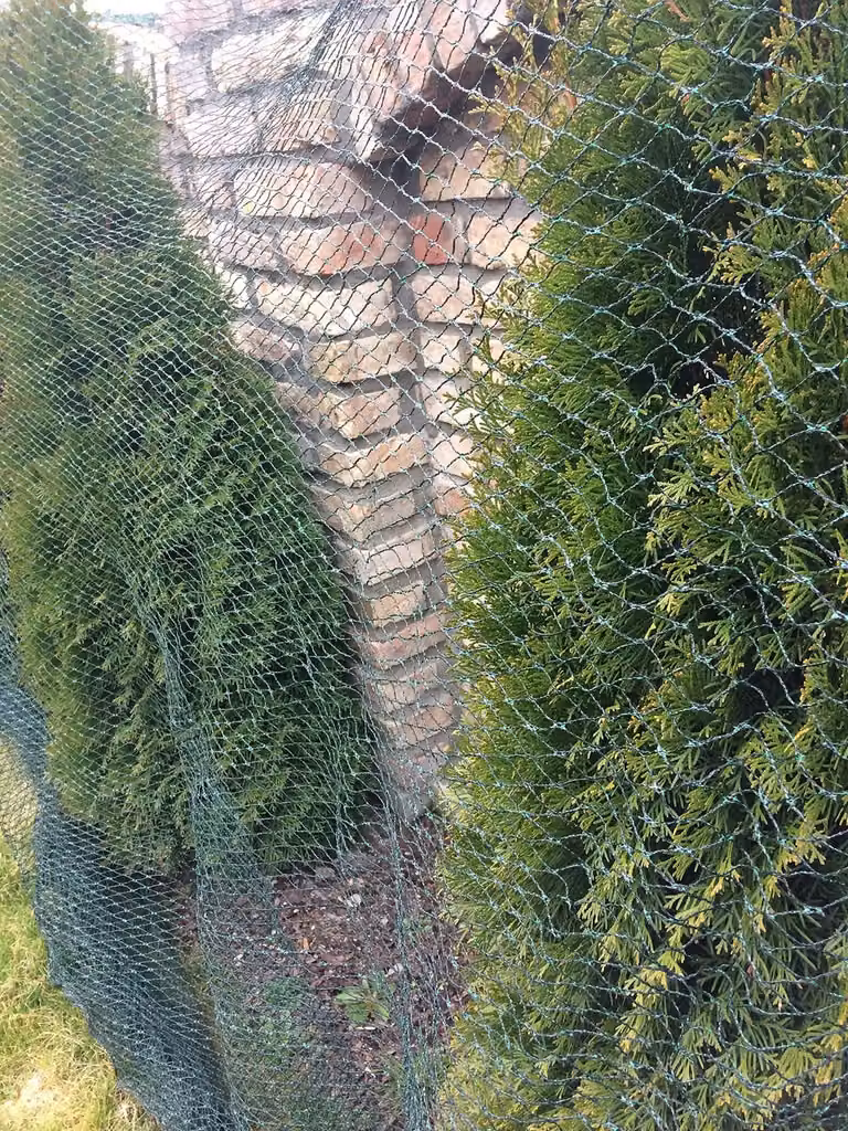 Rete protettiva resistente per giardini e alberi da frutto, 6x5 metri