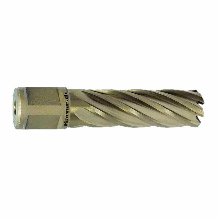 Punta a  HSS-XE, attacco Weldon, lunghezza utile 55 mm, Gold-Line55, d=33 mm