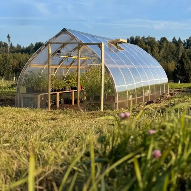 Serra da giardino Arched Wood in legno con rivestimento in policarbonato trasparente 3.5 x 6 m (21 m²)