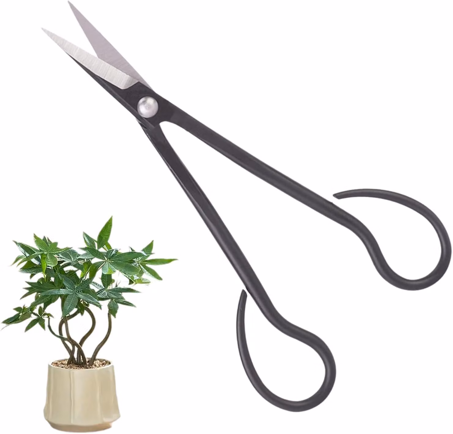Forbici da bonsai con manico lungo, in acciaio rivestito, colore nero, adatte per lavori di giardinaggio