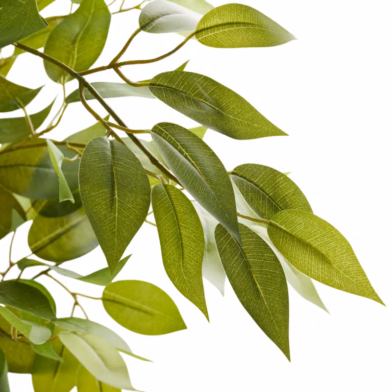 Albero di Ficus artificiale Tectake verde, altezza: 120 cm