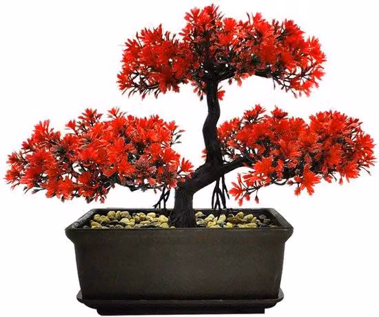 Vaso per bonsai in plastica per soggiorno, camera da letto, stile rustico, bagno, studio, 28 x 21,8 cm, rosso