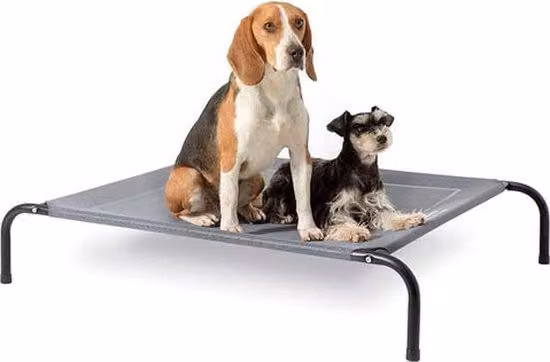 Letto rialzato per cani, grigio medio, per interni ed esterni, da campeggio, taglia M